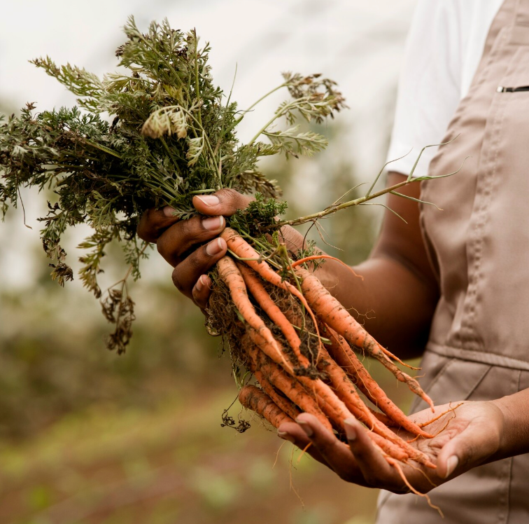 Home screenshot 2026 03 10 at 08.14.16