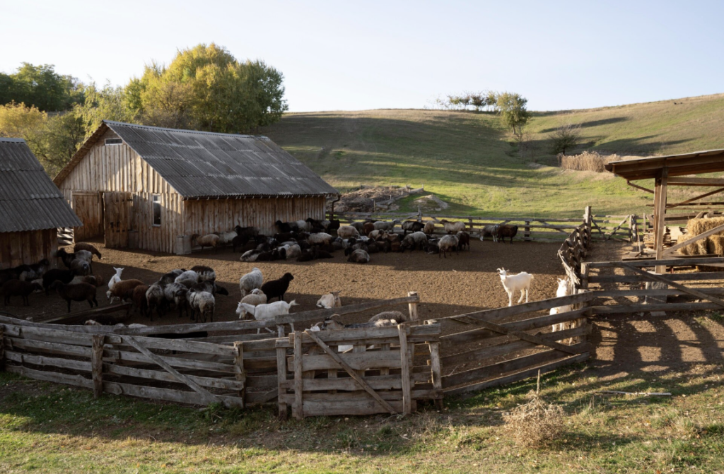 screenshot 2026 03 10 at 08.31.53