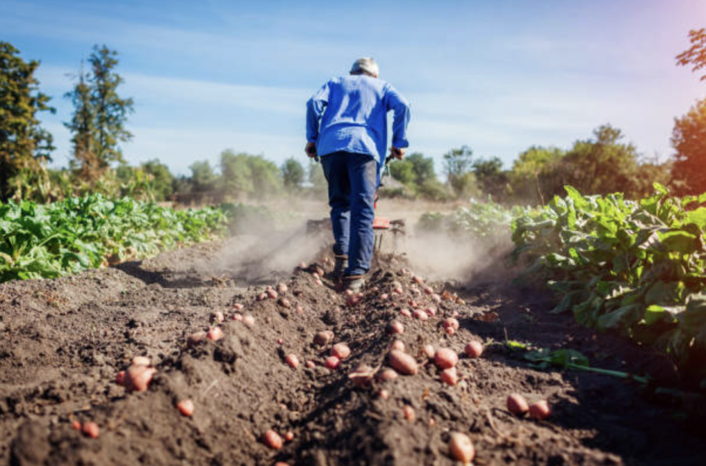 screenshot 2026 03 10 at 08.39.11