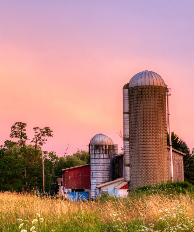 screenshot 2026 03 10 at 08.41.22